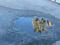 A puddle