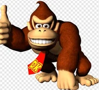 BasicallyDonkeyKong1