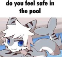 Furry shark