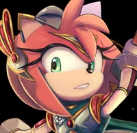 Paladin Amy Rose