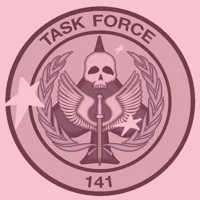 Task force 141
