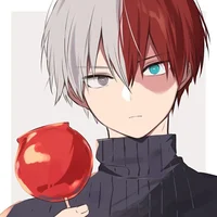 Shoto Todoroki 