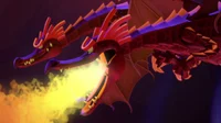 Nether dragons