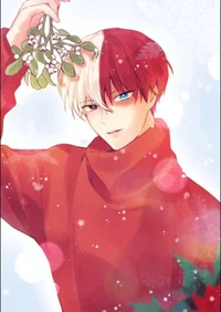Shoto Todoroki 