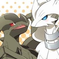 Reshiram and Zekrom