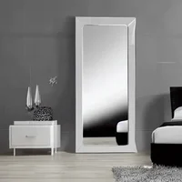 Mirror Hallucination