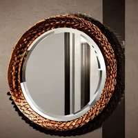 Mirror Hallucination