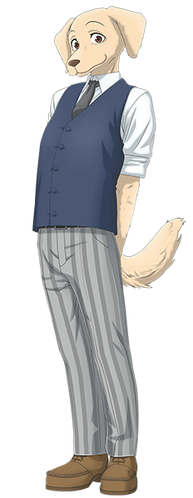 Jack retriever