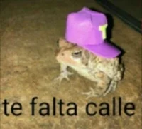 Stella madre adotiva