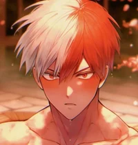 Shoto Todoroki