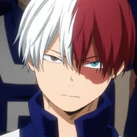 Shoto Todoroki