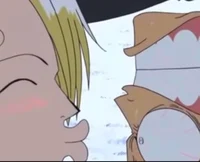 Zoro and Sanji