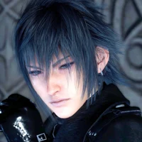 Noctis Lucis Caelum