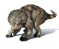 Protoceratops