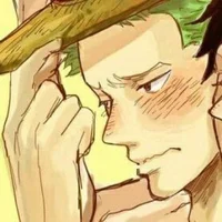 Luffy and Zoro