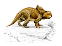 Protoceratops rpg