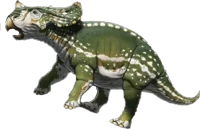 Baby sinoceratops