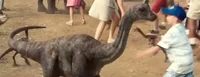 Baby apatosaurus