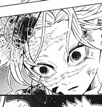 _ Sanemi Shinazugawa