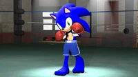 Boxing Sonic