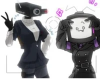 Tv woman camerawoman