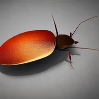 cockroach