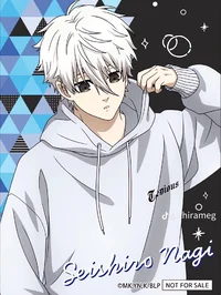 Seishiro Nagi