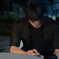 Noctis Lucis Caelum
