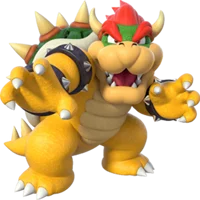 Bowser new