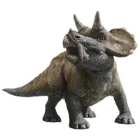 Baby triceratops