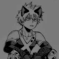 -Bakugo semi gato