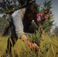 Arthur Morgan