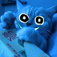 sucky sucky hairball