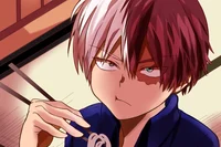 Shoto Todoroki