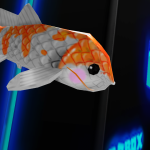 Koi