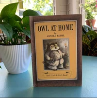 Owl at Home