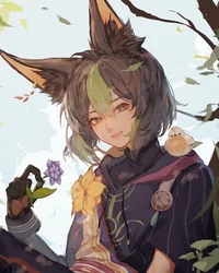 Tignari omega