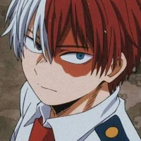 Shoto Todoroki
