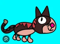 Marco As A Cat