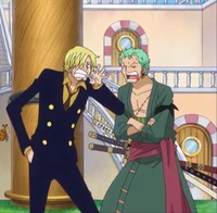 Zoro and Sanji