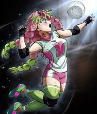Mitsuri voley