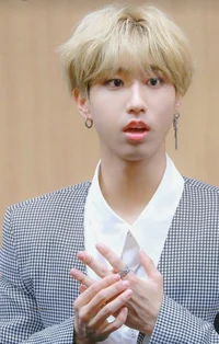 Han Jisung-elf
