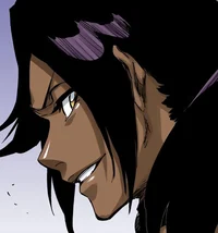 Yoruichi Shihoin 