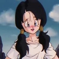 Videl 
