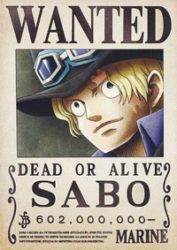Sabo