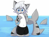 Tiger shark femboy