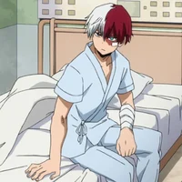 Shoto Todoroki