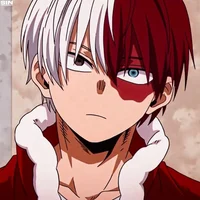 Shoto Todoroki BR