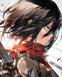 Mikasa_13