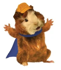 Linny the Guinea Pig